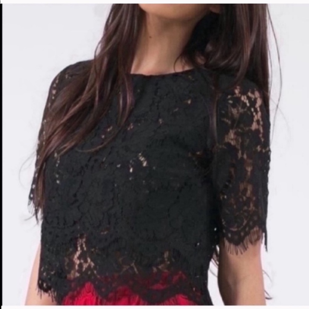 NEW NEVER WORN Black Lace Crop Top From VICI